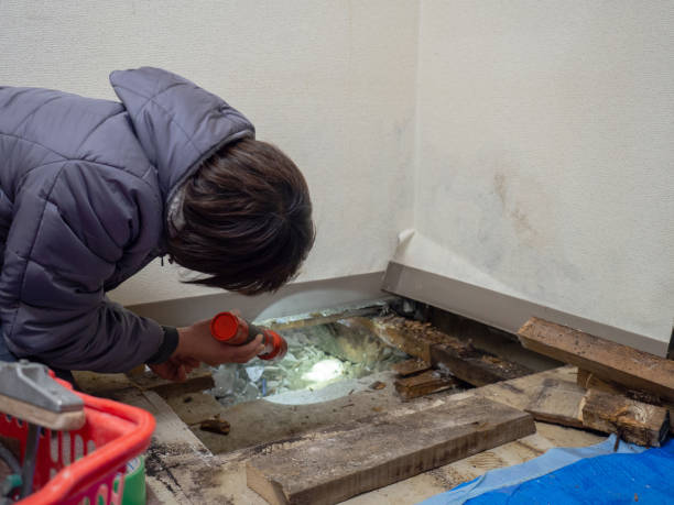 Mold Remediation for Vacation Homes in Santa Anna, TX